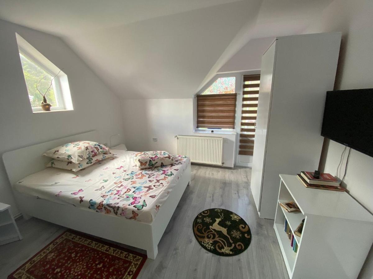 Vila Castelana Căciulata Dış mekan fotoğraf