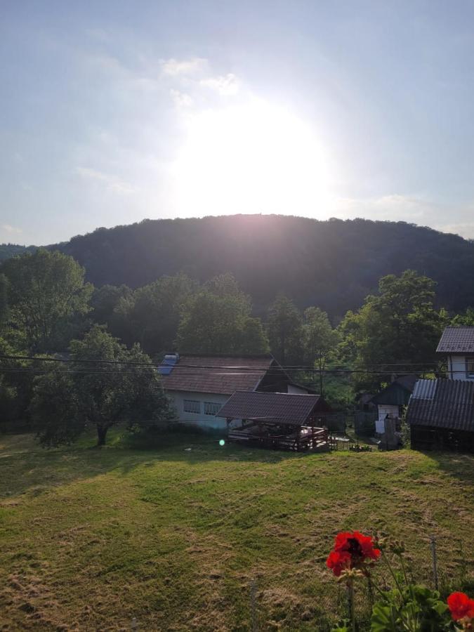 Vila Castelana Căciulata Dış mekan fotoğraf